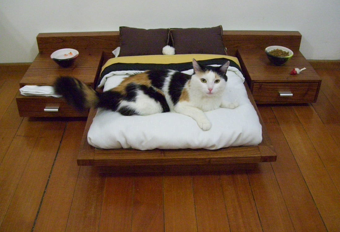 cama para gatos futon 