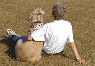 una mascota con su dueño en el parque