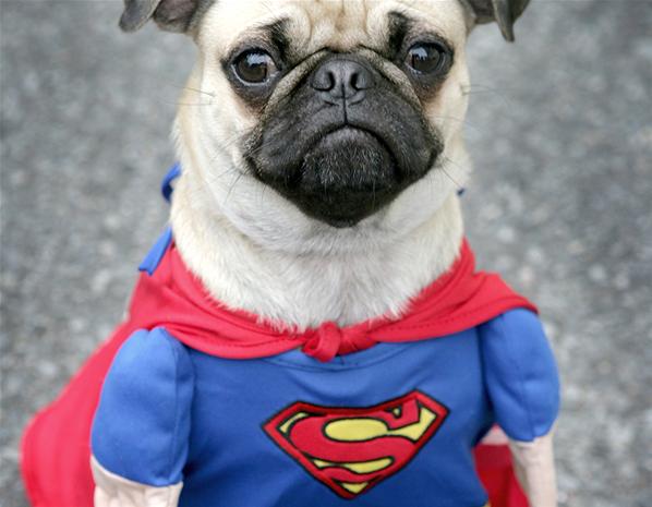 Carlino disfrazado de Superman 