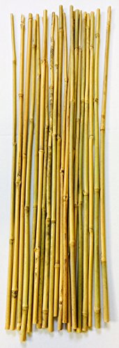 Mendi 20 Varillas de bambú. 60 cm / 6-8 mm diámetro