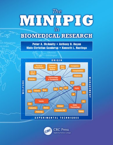 The Minipig in Biomedical Research (English Edition)