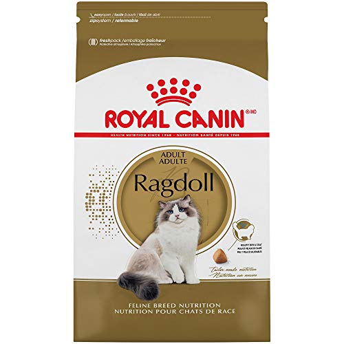 Royal Canin Ragdoll - Comida para gatos, 7 libras