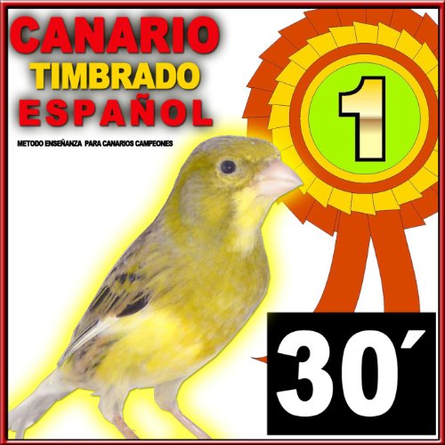 30 Minutos De Canto Del Canario Timbrado Español. Metodo De Entrenamiento. Bird Serinus Canaria (Canaries)