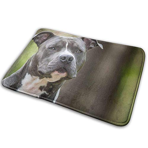 MHKG Universal Anti SlipDoor Mat – Size 16 X 24,Entrance Outdoor & Indoor Welcome Mat Doormat Blue American Staffy Pitbull Dog Cool Desk