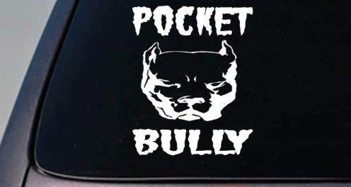 Pocket Bully American Pit Bull Pitbull 6" Sticker Decal American Bully Abkc *B159* Decal Vinyl Sticker For Cars, Trucks, Laptops, Fridge and More