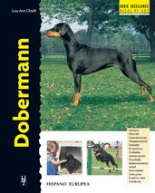 Dobermann (Excellence)