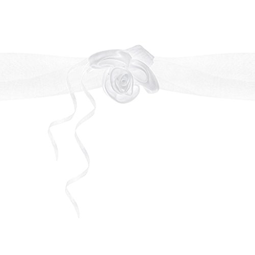 Partydeco gkt2 – 008 – Lote 2 guirnaldas blancas para coche con rosas