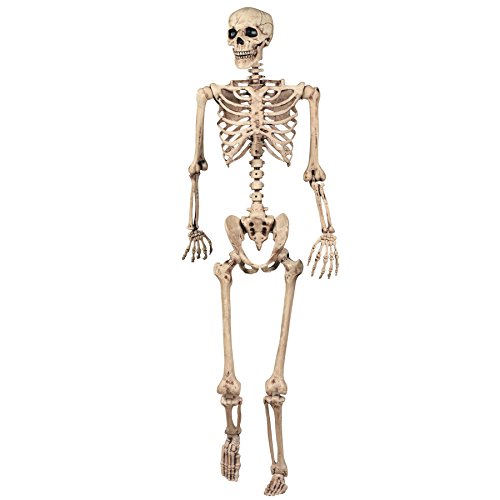 SHATCHI Decoración de Halloween, Esqueleto Posible, decoración de la Vida, tamaño 165 cm, para Fiestas, Paseos