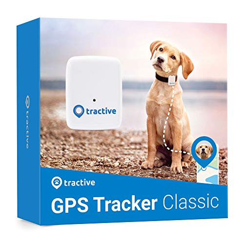 Tractive Localizador GPS para perros - Rastreador con rango ilimitado