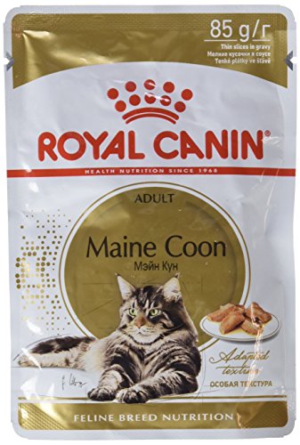 Royal Canin Feline Adult Maine Coon Pouch - Caja 12X85Gr 1020 g