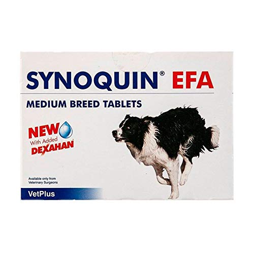 VetPlus Synoquin EFA Envase con 120 Comprimidos de Suplemento para Perros Razas Medianas