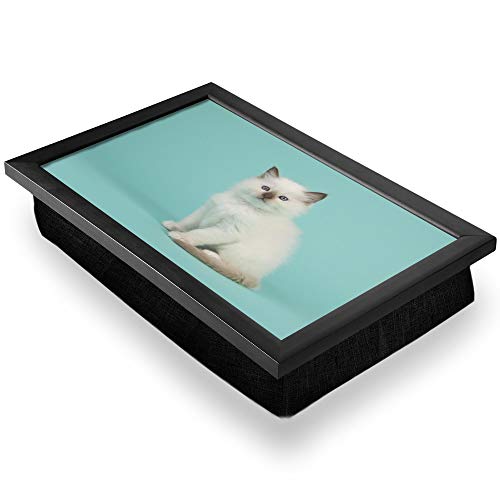 Bandeja de regazo de lujo, cómoda, funcional portátil, puf – blanco bebé ragdoll gatito gato #21175