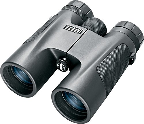 Bushnell Powerview-Roof 10x 42mm Prismáticos, Unisex, Negro, 10 x 42 mm