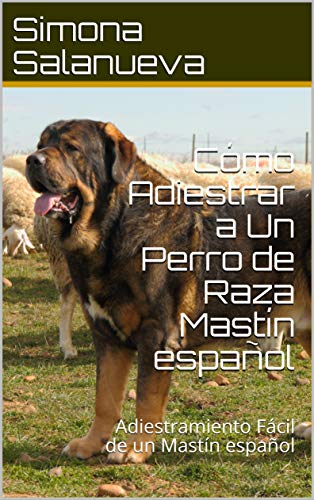 Cómo Adiestrar a Un Perro de Raza Mastín español  : Adiestramiento Fácil de un Mastín español