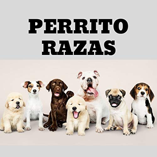 PERRITO RAZAS (Words Series nº 2)