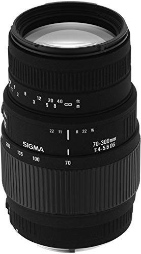 Sigma 70-300mm F4-5.6 DG Macro - Objetivo para Sony/Minolta (Distancia Focal 70-300mm, Apertura f/4-32, diámetro: 58mm) Color Negro