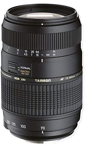 Tamron 70-300mm Di LD - Objetivo para Sony (70-300mm, f/4-5.6, Macro, 62mm), color negro