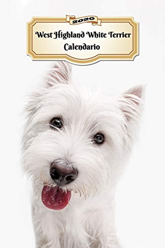 2020 West Highland White Terrier Calendario: 107 Páginas | Tamaño A5 | Planificador Semanal | 12 Meses | 1 Semana en 2 Páginas | Agenda Semana Vista | Tapa Blanda | Perro