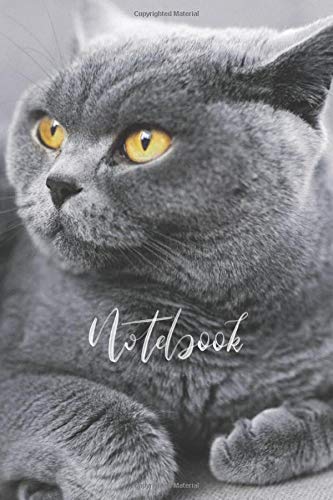 British Shorthair cat lined notebook: Perfect gift for Pedigree British Blue cat lover