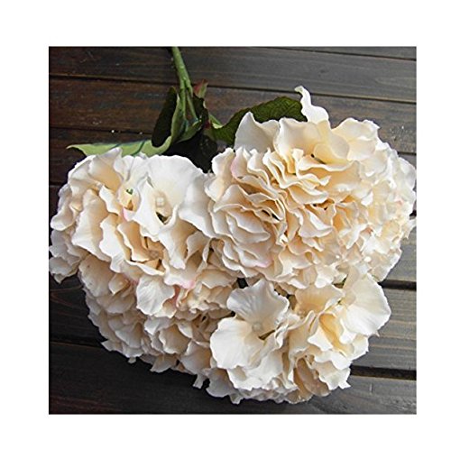 Caomoa flor artificial de hortensia, 5 ramos de grandes flores, 7 colores disponibles, flor de imitación., champán, 5 head