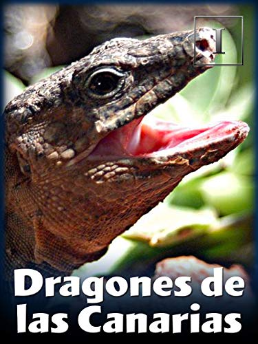 Dragones de las Canarias