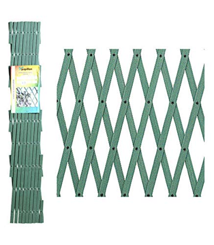 Papillon 8091535 Celosia PVC Verde Extensible 2x1 Metros, 2x1m