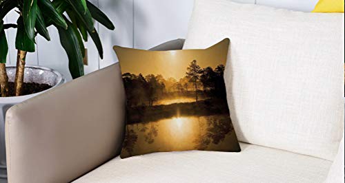Square Soft and Cozy Pillow Covers,Naturaleza, idílico Amanecer en el pantano con Reflejos de los árboles en el Lago Misty Mágico,Funda para Decorar Sofá Dormitorio Decoración Funda de Almohada.