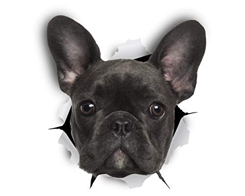 Winston & Bear Perro 3D adhesivos - Pack 2 - Bulldog Francés negro Stickers para pared, pegatinas de Frenchie de nevera