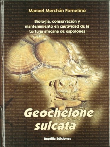 Geochelone sulcata - tortuga africana de espolones