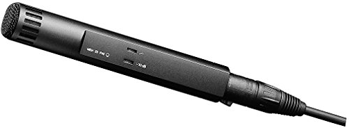 Sennheiser MKH 50-P48 - Micrófono de Escena/Directo, con Cable, Color Negro