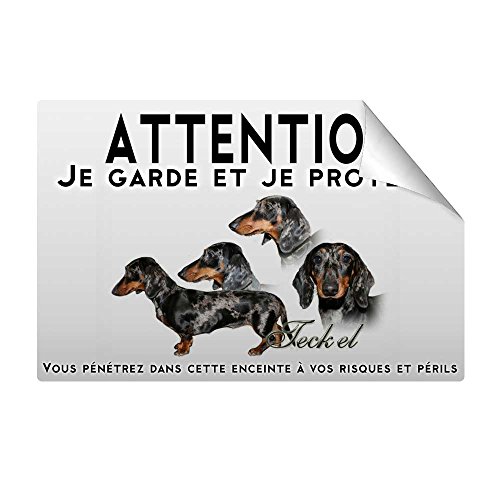 Pets-easy Stickers Attention au Chien Teckel arlequin