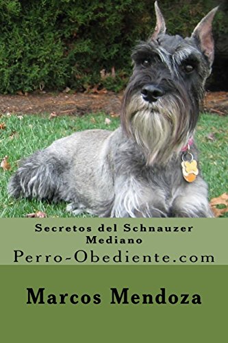 Secretos del Schnauzer Mediano: Perro-Obediente.com