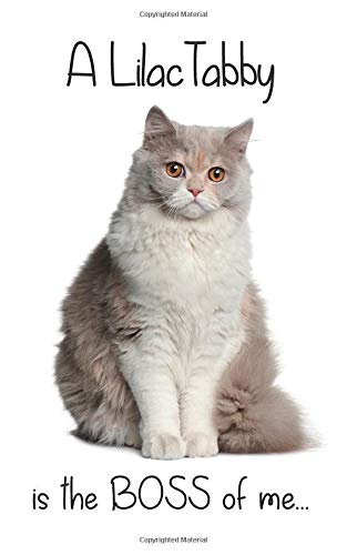 A Lilac Tabby British Longhair Cat is the Boss of me...: 5” x 8” Blank lined Journal Notebook 120 College Ruled Pages (Mad about Cats)