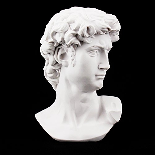 airgoesin - Busto del David de resina, perfecto para clases de arte
