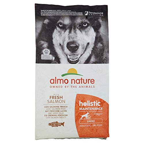 Almo Nature Dog Dry PFC Holistic Adult Salmón Razas Grandes, 12000