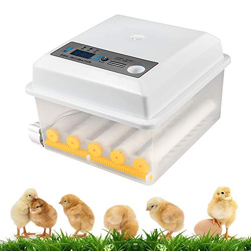 InLoveArts Incubadora Digital de Huevos Incubadora para Múltiples Tamaños de Huevos 16 Huevos Uso Doméstico, Control de Temperatura y Giro Automático
