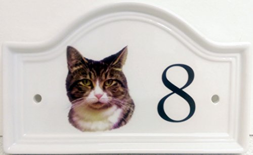 Tricolor de gato Cat casa puerta Número Placa Tricolor de pelo corto gato de cerámica placa de número cualquier número disponible decorada a mano en el Reino Unido entrega GRATUITA Reino Unido