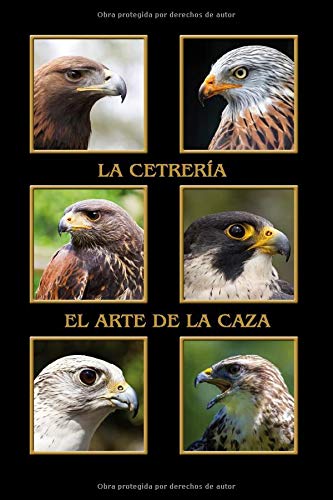 Cetrería el arte de la caza: Águila, milano, halcón peregrino, harris hawk, halcón. En formato A5, 120 páginas, finas líneas grises claras, cubierta ... halconeros, diario, notas para ornitólogos.