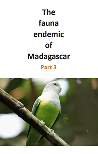 The fauna endemic of Madagascar. Part 3 (English Edition)