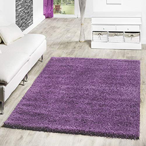 T&T Design Alfombra Shaggy De Pelo Largo para Salón A Precio Inmejorable, Farbe:Purple, Größe:60x100 cm