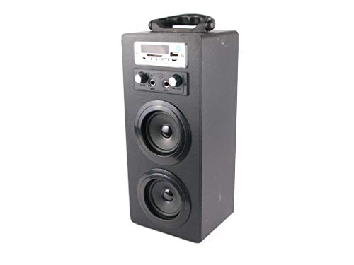 Mini Torre de Sonido NK-MT3242-BT - Micrófono Karaoke, Bluetooth, Mando a Distancia, Doble Entrada Micrófonos, AUX, USB, DC5V, Pantalla, Negro
