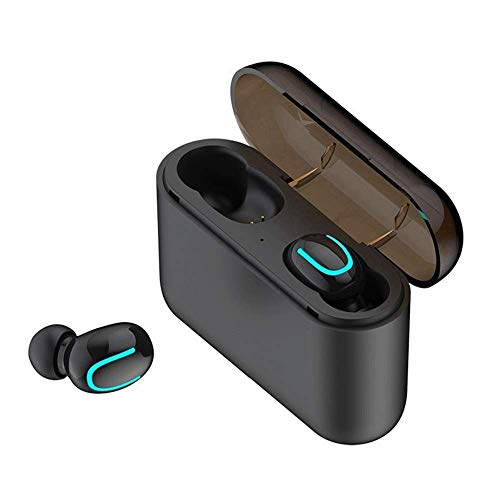 COOLEAD Mini Auriculares Inalambricos Bluetooh 5.0 Invisibles con Caja de Carga para iPhone,Android Deportes,Reunión (un par, Q32)