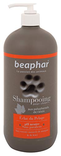 Beaphar - Champú Premium para Perros Pelaje Brillante, 750 ml