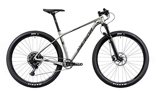 Merida Big.Nine NX-Edition - Bicicleta de montaña, titanio/plata, 2019 RH 53 cm/29 pulgadas