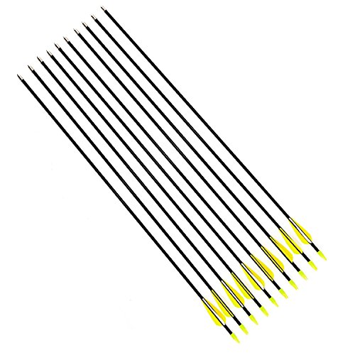 DeliaWinterfel 10x Flechas de Fibra de Vidrio Carbon para Tiro con Arco Recurvo, 78,5cm, Tiro con Arco by