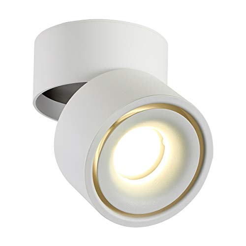 LANBOS luz de techo LED Lámpara de pared - luz de techo y pared, Led Downlight,Focos para el techo, luz blanco Neutra, 4000K,10 W, IP20, 10X10CM(blanco+Blanco Neutra)