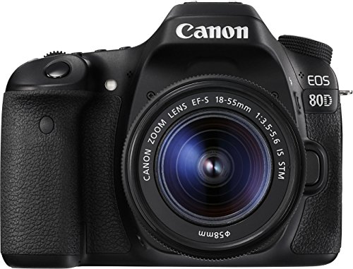 Canon EOS 80D - Cámara réflex digital de 24.2 MP (pantalla táctil de 3", video Full HD, enfoque automático, WiFi) negro - kit cuerpo con objetivo Canon EF 18 - 55 mm f/3.5 - 5.6 IS (versión importada)