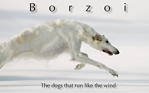 BORZOI: The dogs that run like the wind (Japanese Edition)