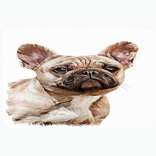 Alfombra de baño para baño Alfombrillas antideslizantes Dibujo Perro Lindo Dibujo francés Bulldog Aceite Mascota Animales de raza pura Textura de la cara de la fauna Buldog en las orejas Decoración de