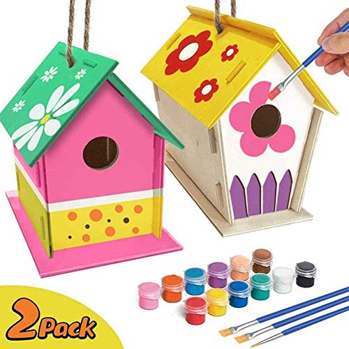 Bird House Kit DIY construye un pájaro bungalow, patio trasero Birdhouse Kit Manualidades con madera DIY arte & artesanía casa jardín trabajo para niños & jóvenes, para niños & jóvenes, niños & niñas